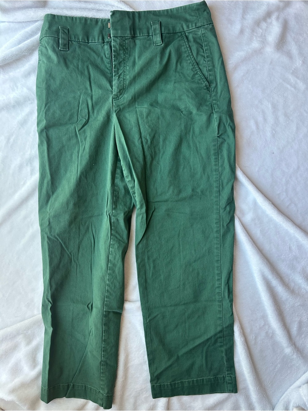 LOFT Forest Green Chino Pants